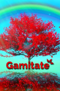 Gamitate The Meditation Game