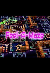 Feel-A-Maze