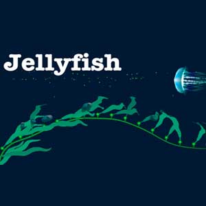 Jellyfish