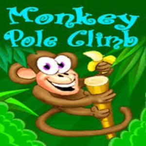 Monkey Pole Climb