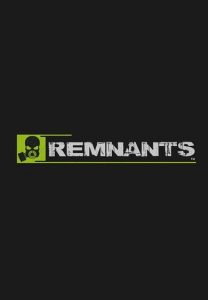 Remnants