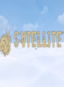 Satellite