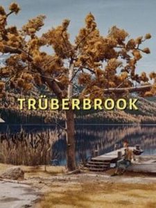 Truberbrook A Nerd Saves the World