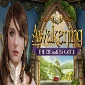 Awakening The Dreamless Castle