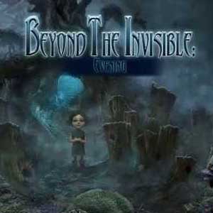 Beyond The Invisible Evening