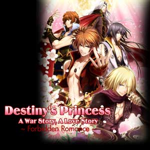 Destinys Princess A War Story A Love Story