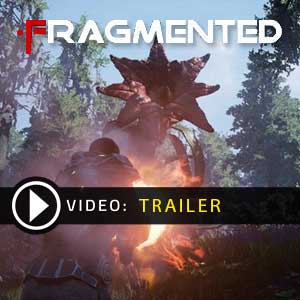 Fragmented