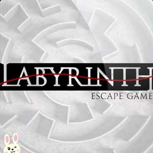 Labyrinth Escape