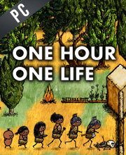 One Hour One Life