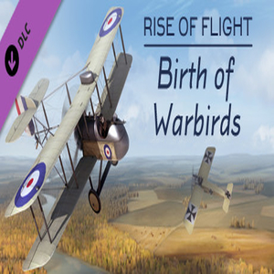 Rise of Flight Birth of Warbirds
