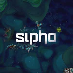 Sipho
