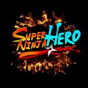 Super Ninja Hero VR