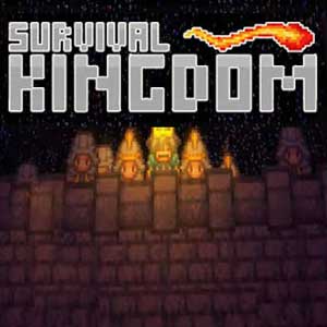 Survival Kingdom