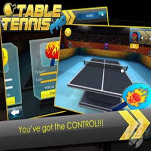 Table Tennis Pro