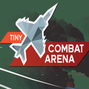 Tiny Combat Arena