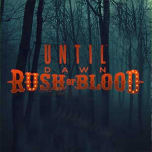 Until Dawn Rush of Blood PS4