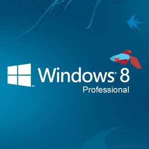 Windows 8 Professional Microsoft