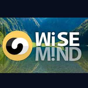 Wisemind