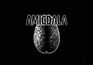 Amigdala