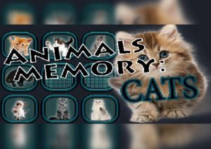 Animals Memory Cats