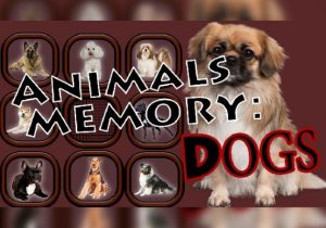 Animals Memory Dogs