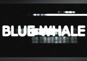 Blue Whale