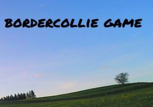 BorderCollie