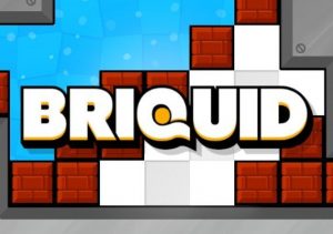 Briquid