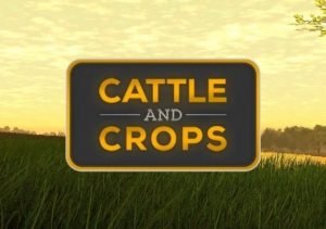 Cattle & Crops