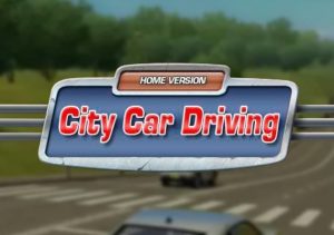 City Car Driving