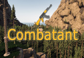 Combatant