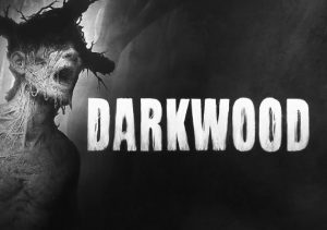 Darkwood Xbox Series