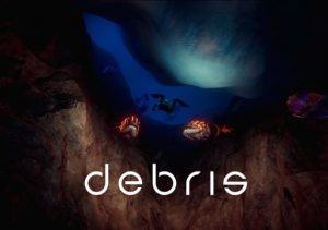 Debris