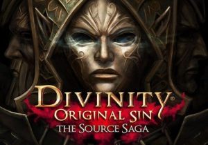 Divinity Original Sin The Source Saga
