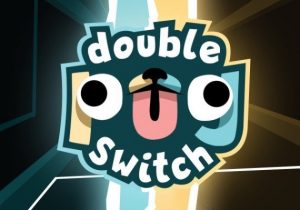 Double Pug Switch Switch