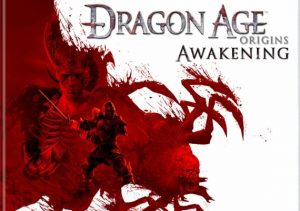 Dragon Age Origins Awakening