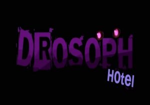 Drosoph Hotel