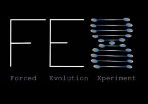 F.E.X Forced Evolution Experiment