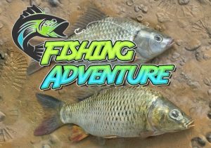 Fishing Adventure
