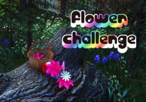 Flower Challenge