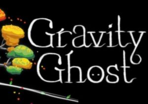 Gravity Ghost