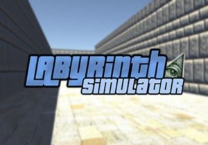 Labyrinth Simulator