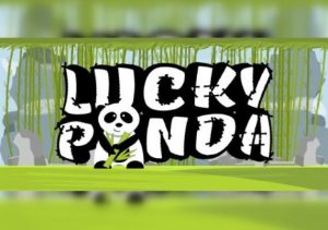 Lucky Panda
