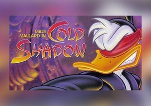 Maui Mallard in Cold Shadow