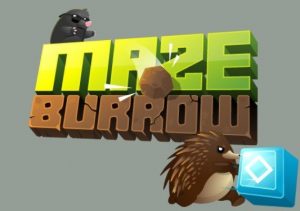 Maze Burrow