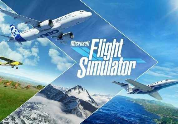 Microsoft Flight Simulator Gamkey