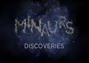 Minaurs