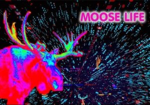 Moose Life