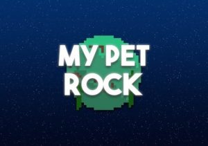 My Pet Rock