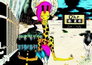 Ohr